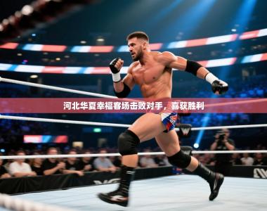 河北华夏幸福客场击败对手，喜获胜利