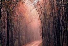 双方攻防激烈，胜负在即——悬念里绽放的每一次抉择