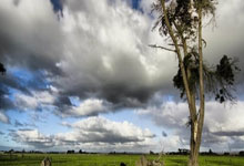 双方攻防激烈，胜负在即——悬念里绽放的每一次抉择