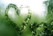 广东男篮大胜，实力彰显无疑