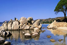 广东男篮大胜，实力彰显无疑