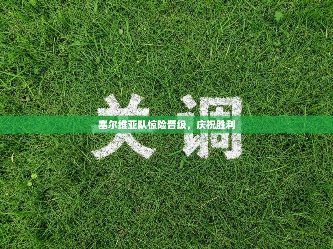 塞尔维亚队惊险晋级，庆祝胜利  第2张