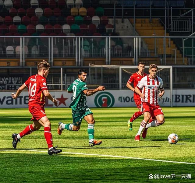 罗马尼亚队成功守住主场优势 罗马尼亚队成功守住主场优势